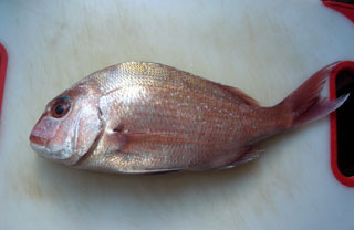 f:id:MSHIBATA:20110108212634j:image f:id:MSHIBATA:20110108212634j:image