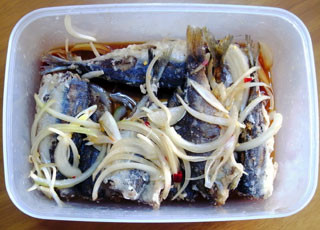 f:id:MSHIBATA:20110109000718j:image