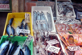 f:id:MSHIBATA:20110126074554j:image