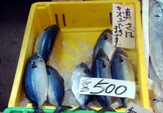 f:id:MSHIBATA:20110126074621j:image