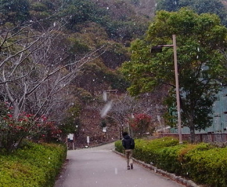f:id:MSHIBATA:20110128065920j:image