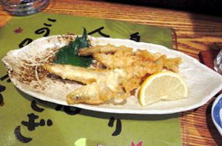 f:id:MSHIBATA:20110206185002j:image