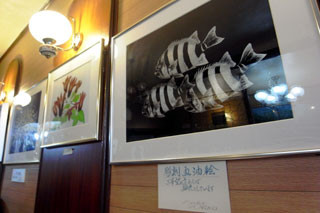 f:id:MSHIBATA:20110214184544j:image