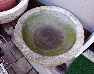 f:id:MSHIBATA:20110225091454j:image