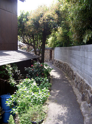 f:id:MSHIBATA:20110228140917j:image f:id:MSHIBATA:20110228140917j:image