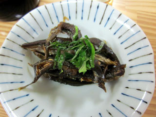 f:id:MSHIBATA:20110301195408j:image