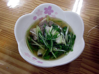 f:id:MSHIBATA:20110301195501j:image
