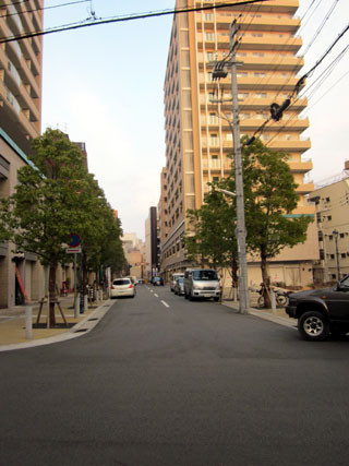 f:id:MSHIBATA:20110302123813j:image