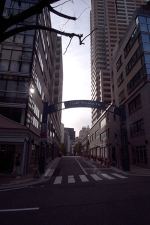 f:id:MSHIBATA:20110302123858j:image