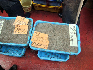 f:id:MSHIBATA:20110305183815j:image
