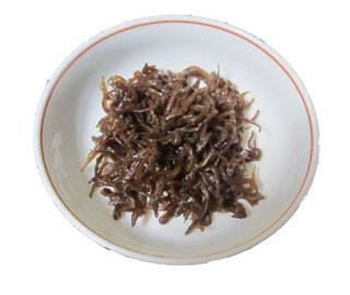 f:id:MSHIBATA:20110305183859j:image