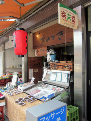 f:id:MSHIBATA:20110330195550j:image