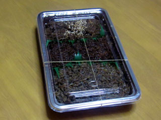f:id:MSHIBATA:20110402072643j:image