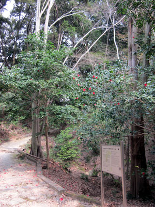 f:id:MSHIBATA:20110403145215j:image