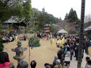 f:id:MSHIBATA:20110403145448j:image