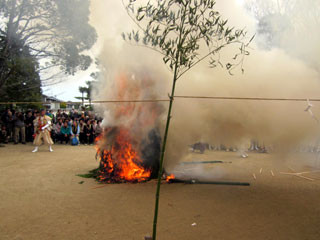 f:id:MSHIBATA:20110403145512j:image