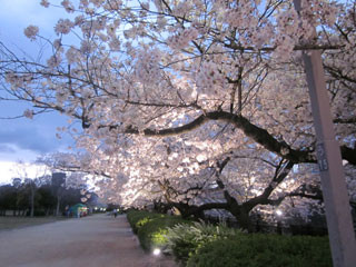 f:id:MSHIBATA:20110412073842j:image f:id:MSHIBATA:20110412073842j:image