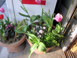 f:id:MSHIBATA:20110414195437j:image