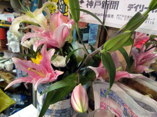 f:id:MSHIBATA:20110421092708j:image