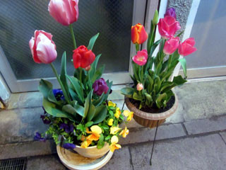 f:id:MSHIBATA:20110423070826j:image