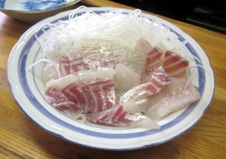 f:id:MSHIBATA:20110425055844j:image