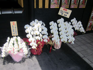 f:id:MSHIBATA:20110428013756j:image
