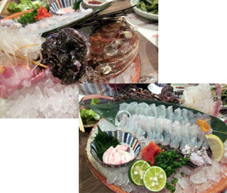 f:id:MSHIBATA:20110429052432j:image f:id:MSHIBATA:20110429052432j:image