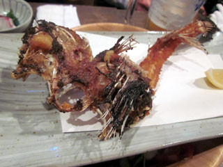 f:id:MSHIBATA:20110429211659j:image f:id:MSHIBATA:20110429211659j:image