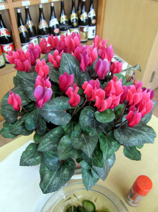 f:id:MSHIBATA:20110501045616j:image