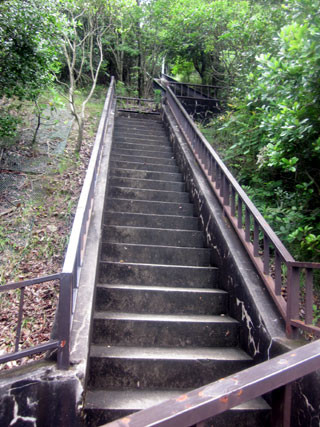 f:id:MSHIBATA:20110619171210j:image