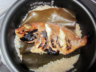 f:id:MSHIBATA:20110913204010j:image