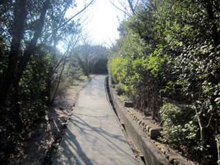 f:id:MSHIBATA:20120101173343j:image