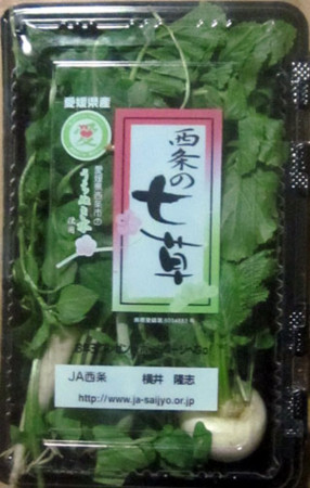 f:id:MSHIBATA:20120107045738j:image
