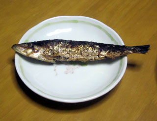 f:id:MSHIBATA:20120203200756j:image