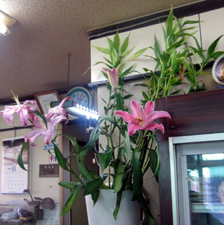 f:id:MSHIBATA:20120229034640j:image f:id:MSHIBATA:20120229034640j:image