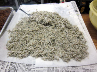 f:id:MSHIBATA:20120229034746j:image f:id:MSHIBATA:20120229034746j:image
