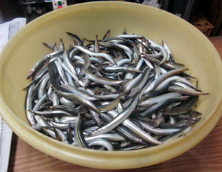 f:id:MSHIBATA:20120229034813j:image f:id:MSHIBATA:20120229034813j:image