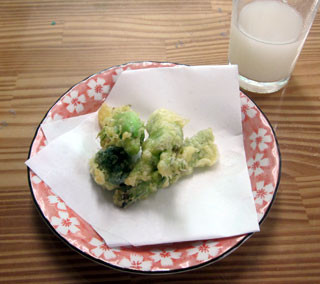 f:id:MSHIBATA:20120229034935j:image f:id:MSHIBATA:20120229034935j:image