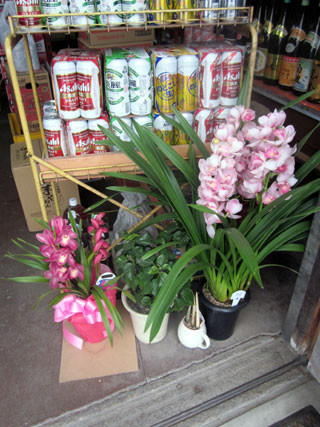 f:id:MSHIBATA:20120317211627j:image f:id:MSHIBATA:20120317211627j:image