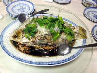 f:id:MSHIBATA:20120326061202j:image