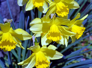f:id:MSHIBATA:20120329095954j:image