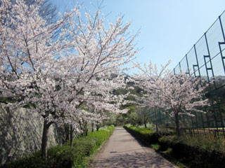 f:id:MSHIBATA:20120412191200j:image