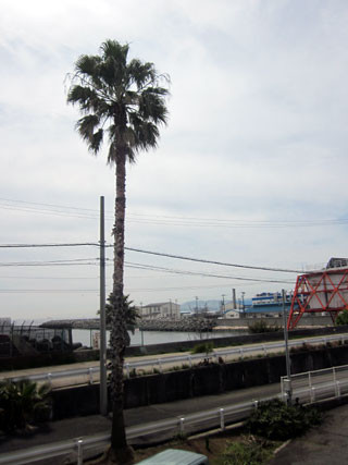 f:id:MSHIBATA:20120416052414j:image
