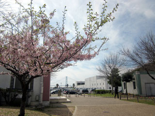 f:id:MSHIBATA:20120416052445j:image