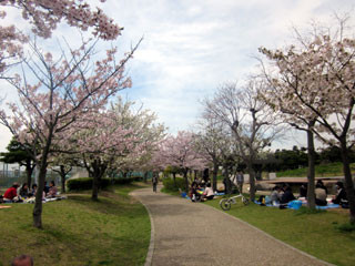 f:id:MSHIBATA:20120416052531j:image