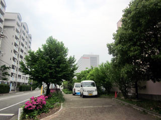 f:id:MSHIBATA:20120507220128j:image f:id:MSHIBATA:20120507220128j:image
