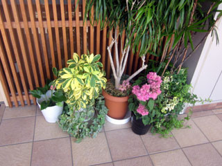 f:id:MSHIBATA:20120702053208j:image