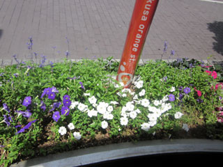 f:id:MSHIBATA:20120724170250j:image