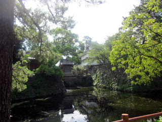 f:id:MSHIBATA:20120828181456j:image f:id:MSHIBATA:20120828181456j:image