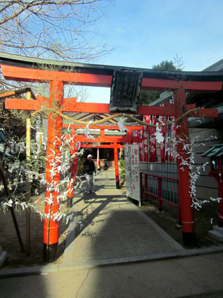 f:id:MSHIBATA:20130103212226j:image